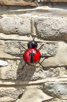 Coccinelle Large - H. 19,0 cm
