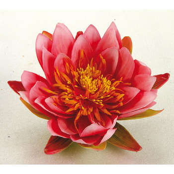 Nénuphar décoratif pour bassin : Rose diametre 14