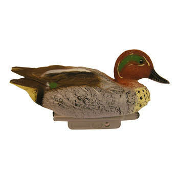 Sarcelle male 28,5 cm