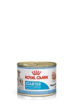 Mousse chienne gestante et chiot moins de 2 mois S