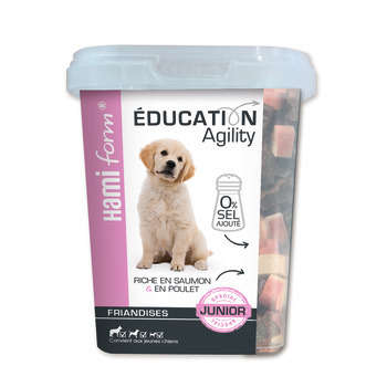 Friandises pour jeune chien Saumon & Poulet Educat