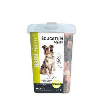 Friandise saumon Education medium 260gr