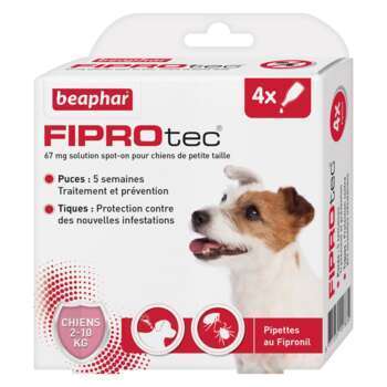 Fiprotec 67 mg pour chiens de petite taille Fipron