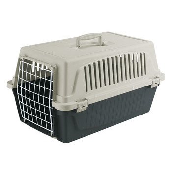 Panier transport pour chat, chien de petite taille