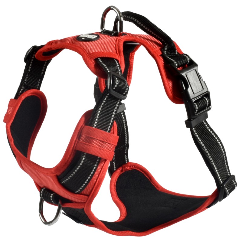 Harnais Rando Walk pour chien rouge - Taille S