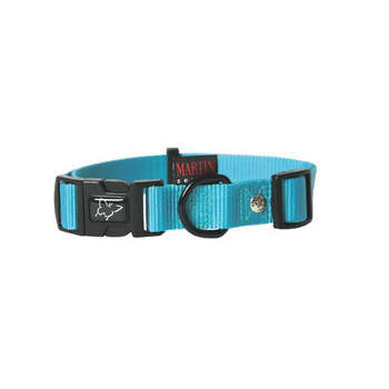 Collier chien réglable :nylon turquoise, 45cm