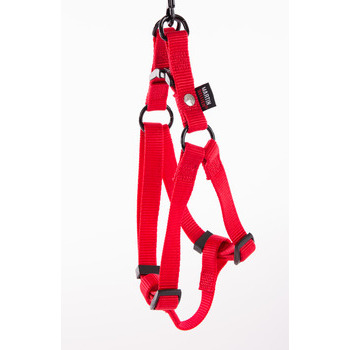 Baudrier chien : tour 35/50cm, rouge