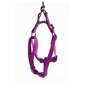 Baudrier chien : tour 35/50cm, mauve