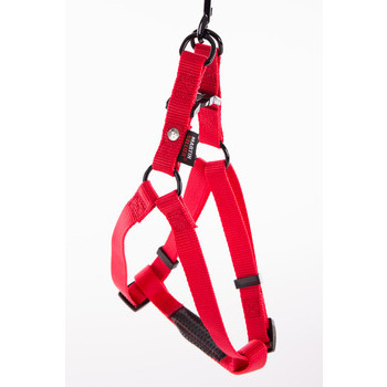 Baudrier chien : tour 50/70cm, rouge