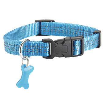 Collier Safe pour chien de couleur bleu et de tail