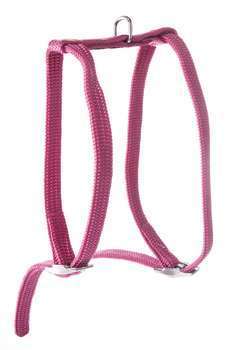 Harnais H en nylon, pour chat, rose