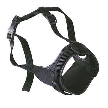 Muselière Safe boxer en nylon noir. Tour de cou :