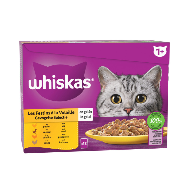 Les festins à la volaille en gelée pour chat 12x85