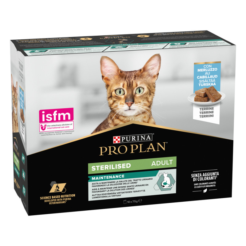 Terrine stérilised maintenance cabillaud pour chat