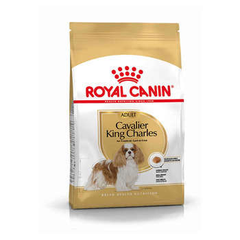 Croquettes chien Cavalier King Charles plus de 10
