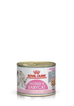 Tendre mousse chatte et chaton 0 à 4 mois Mother&B