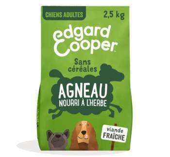 Croquettes chien adulte sans céréales à l'agneau -