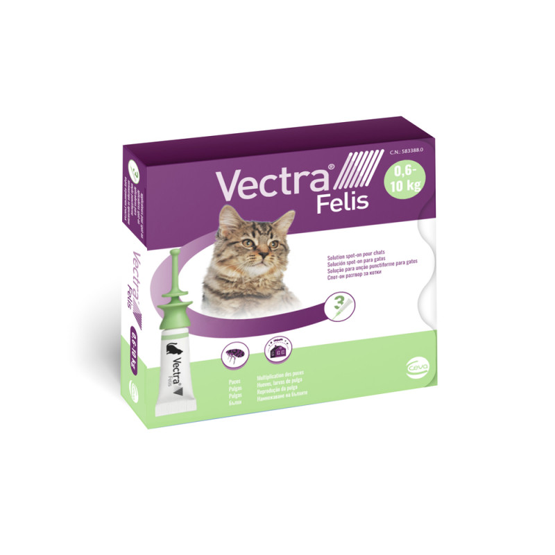 Solution Spot-on - Traitement anti-puces pour chat