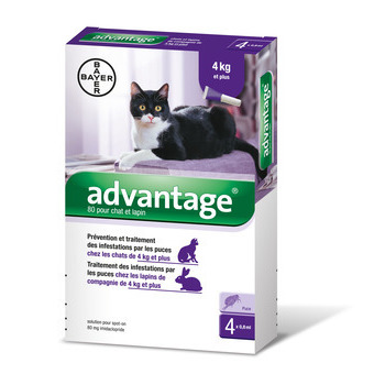 Antiparasitaire chat/lapin : + de 4 kg