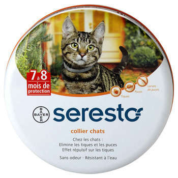 Collier Seresto chat