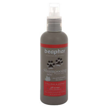 Shampooing sec chat : spray 200ml