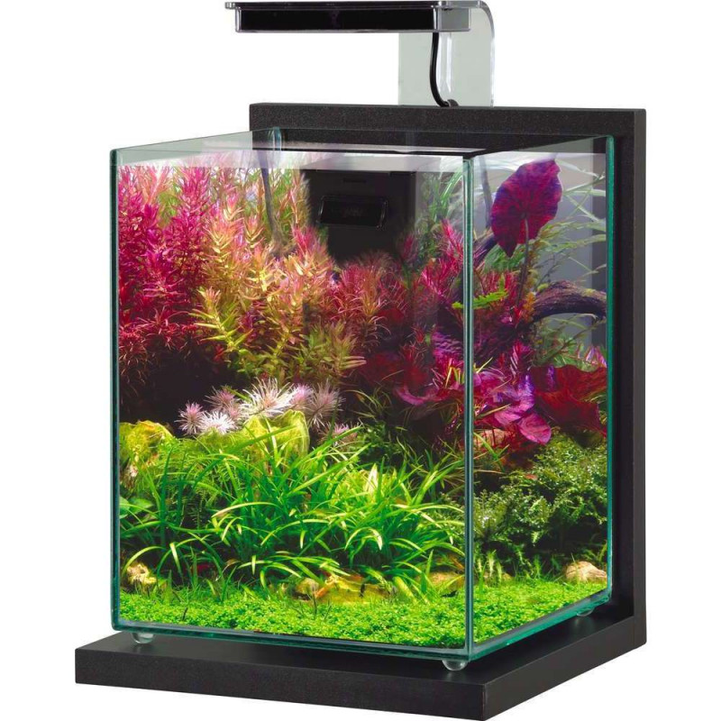 Aquarium équipé Jalaya 2 gris anthracite - 10 litr