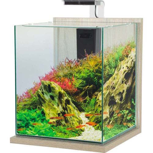 Aquarium équipé Jalaya XXL Zebrano gris - 31,5 lit