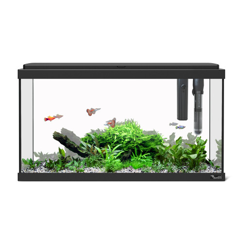 Aquarium Explorer Paris 60 LED équipé, coloris noi