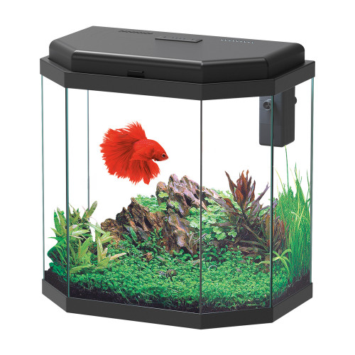 Aquarium AURIA LED équipé noir 42 litres - L. 40,1
