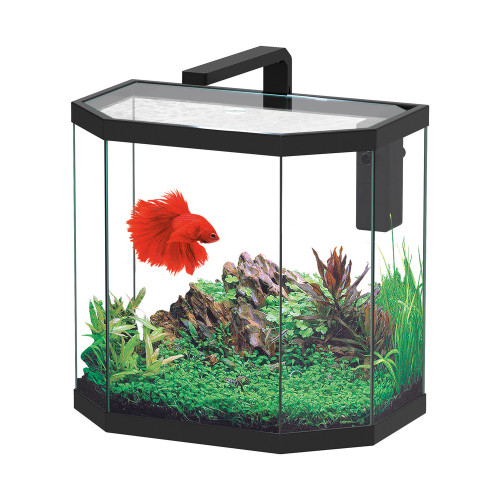 Aquarium OSMOS LED équipé noir 38 litres - L. 40,1