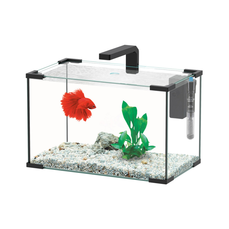 Aquarium JOYA LED équipé noir 23 litres - L. 40,5x