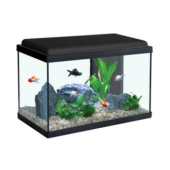 Aquarium équipé Sarawak noir - 40 litres