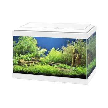 Aquarium Aqua 20 Light Blanc