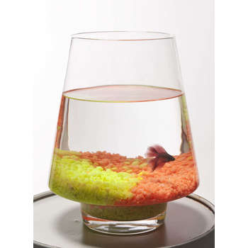 Aquarium Kofi poisson d'eau froide, transparent -