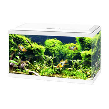 Aquarium Ciano - 54L