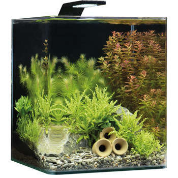 Aquarium Nano Cube Basic, transparent : L. 25xP. 2
