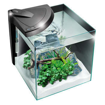 Aquarium Newa More poisson d'eau douce - 30L