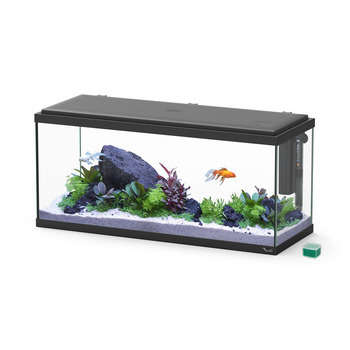 Aquarium Explorer Amsterdam 80 LED : noir