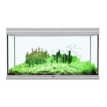 Aquarium fusion 120x60 cm beton