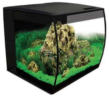 Aquarium équipé Flex noir - 57 litres