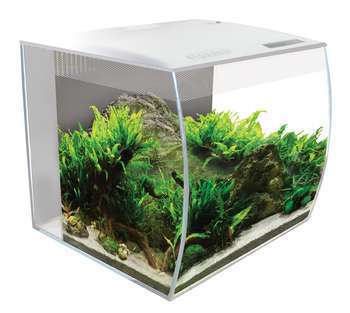 Aquarium équipé Flex pour poisson d'eau douce blan