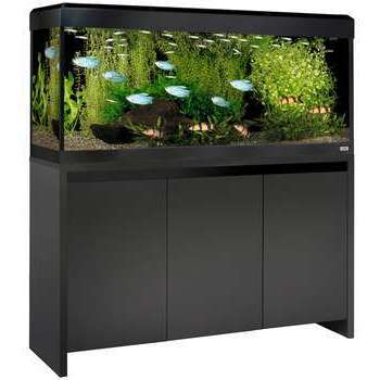 Aquarium Roma 240 L : noir