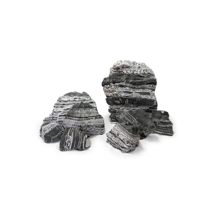 Pierre Black Multiwhite pour réptiles M