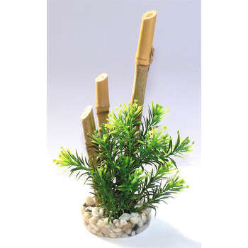 Décoration d'aquarium : Bambou plantes