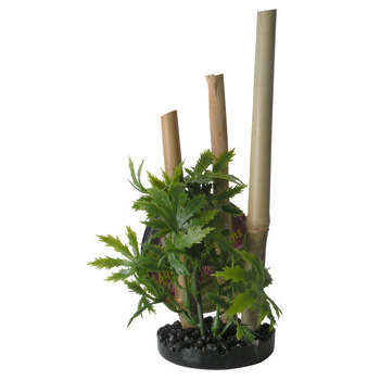 Décoration d'aquarium : bambou/plantes
