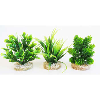 Décoration d'aquarium: Magic aqua naturals H. 11 c