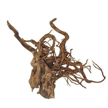 Décor aquarium/terrarium: Racine araignée 50-100cm