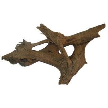 Décor pour aquarium: Racine naturelle Malaisie 12