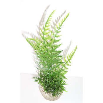 Décor d'aquarium et terrarium : fougere verte