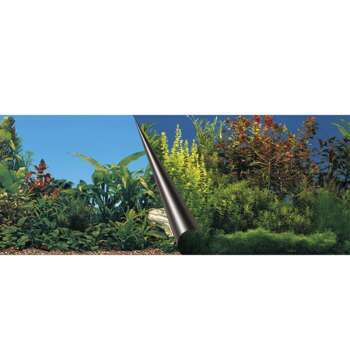 Poster fond d'aquarium Beauty & Sea 80x40cm